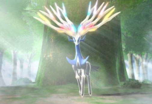 image.jpg