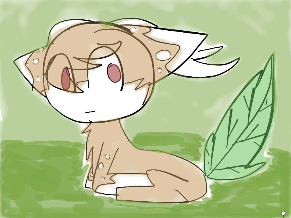image.jpg
