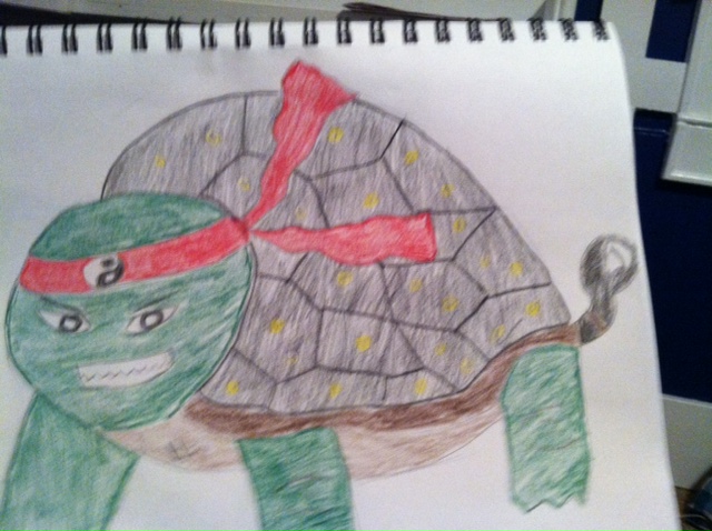 combaturtle.JPG