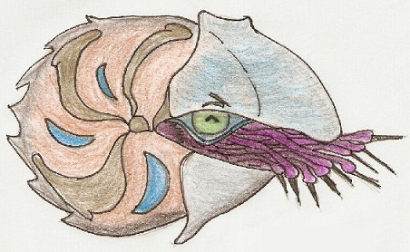 scan0002.jpg