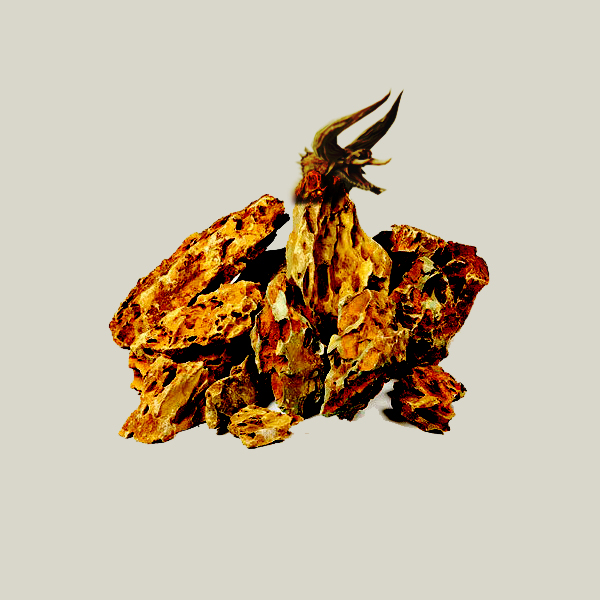 stone-drake.jpg