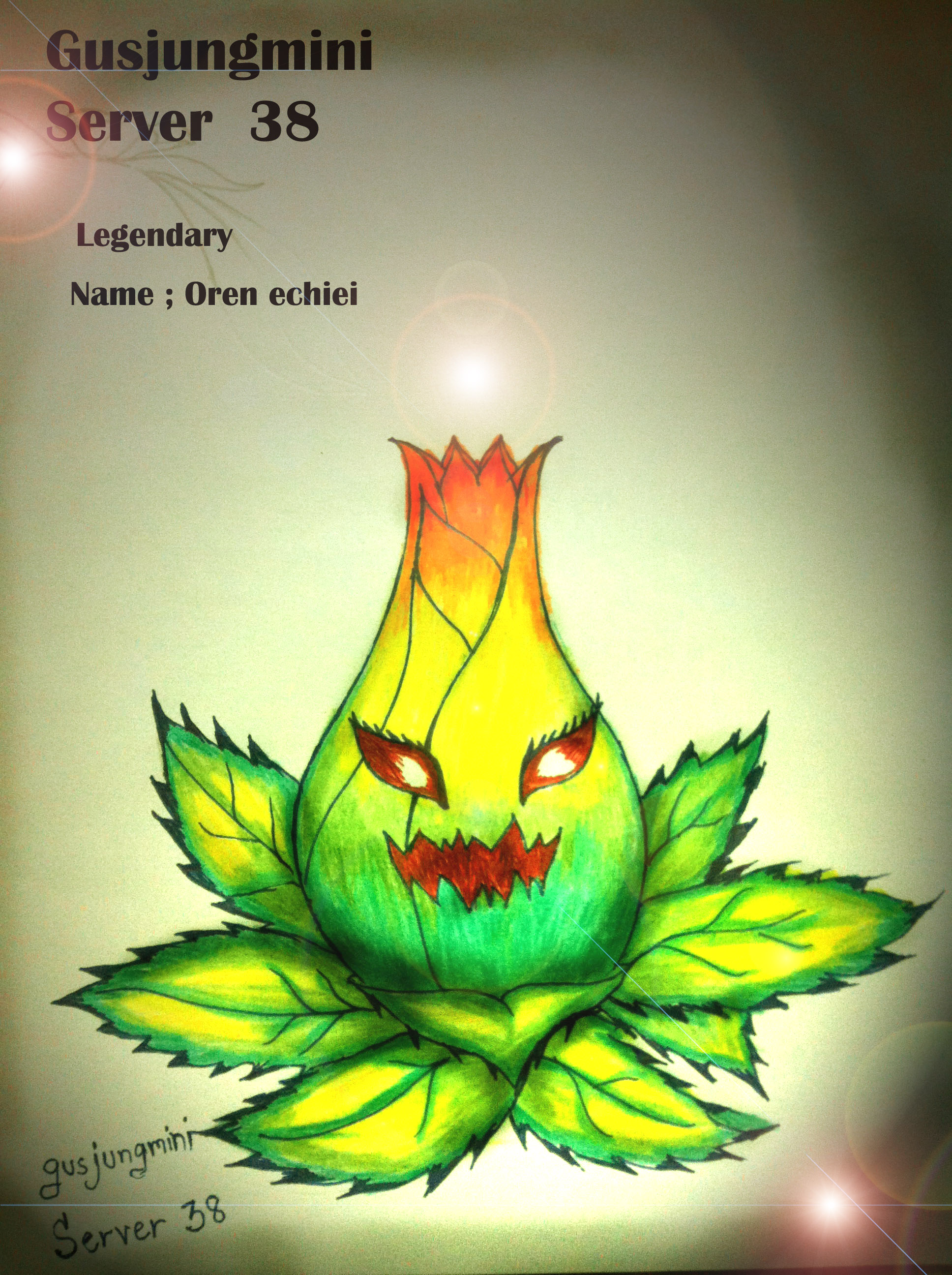 HHHO.jpg